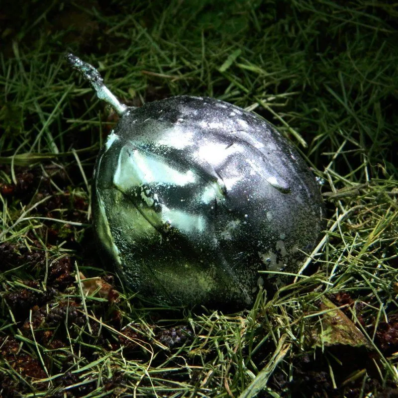 Cвеча "Яйцо гидры", травяная