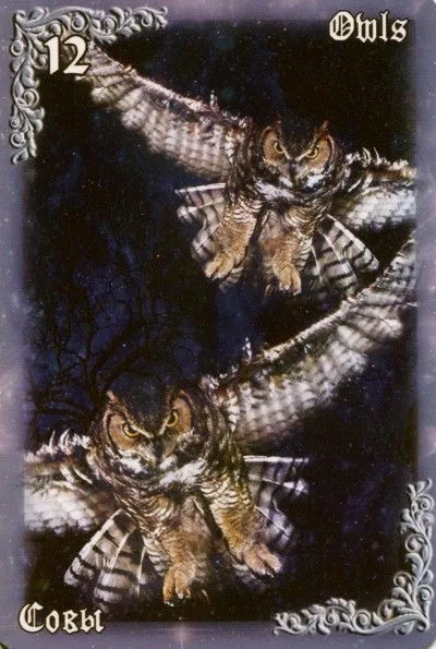 Мистический Оракул "Дыхание Ночи" (Mystical Oracle Breath of The Night)