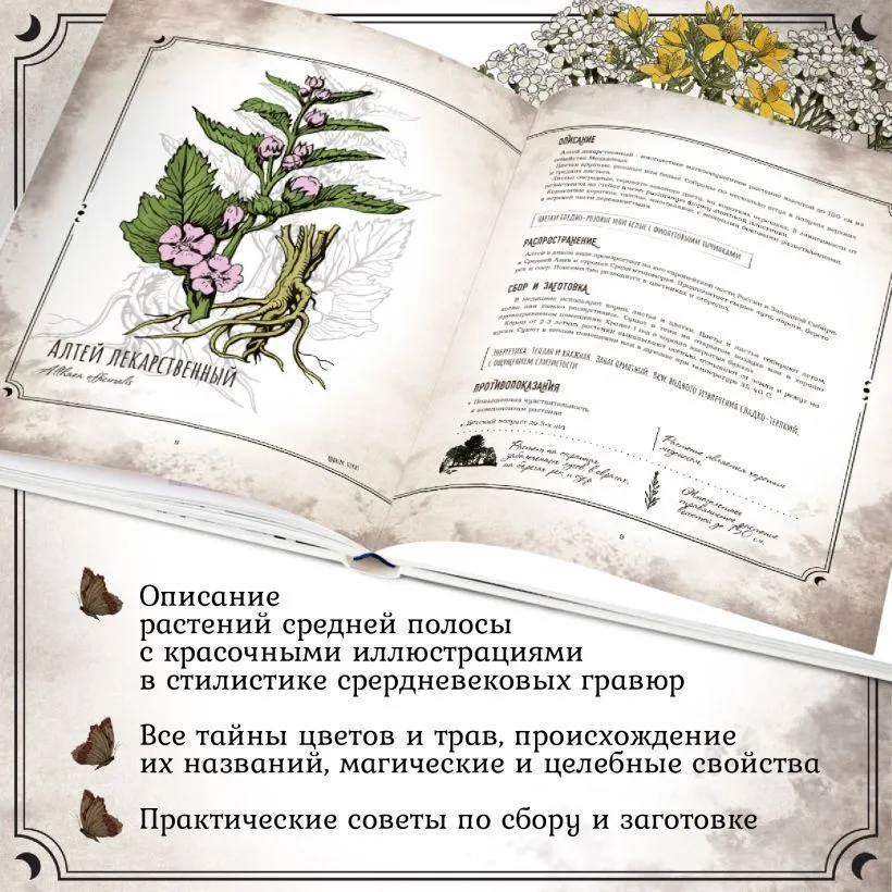 Тайны и магия растений, Мария Сумина