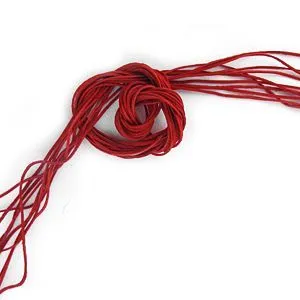 Кожаный шнурок красный