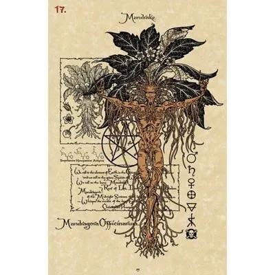 Волшебный Ботанический Оракул