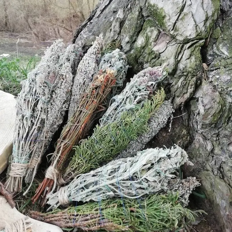 Набор скруток для окуривания "Ведьмины травы" (артыш, мята, багульник)