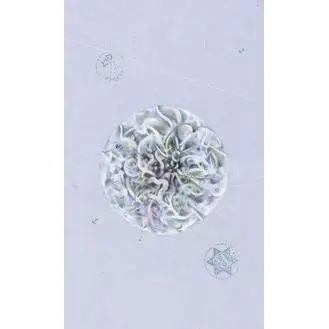 Оракул "Архео" (The Archeo Personal Archetype Cards)