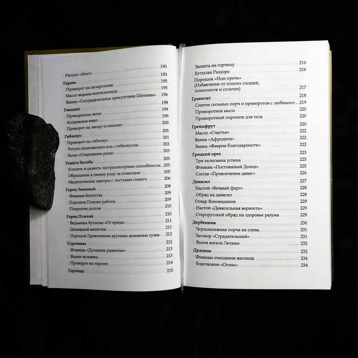 Ася Заботина "Арсенал ведьминых трав"