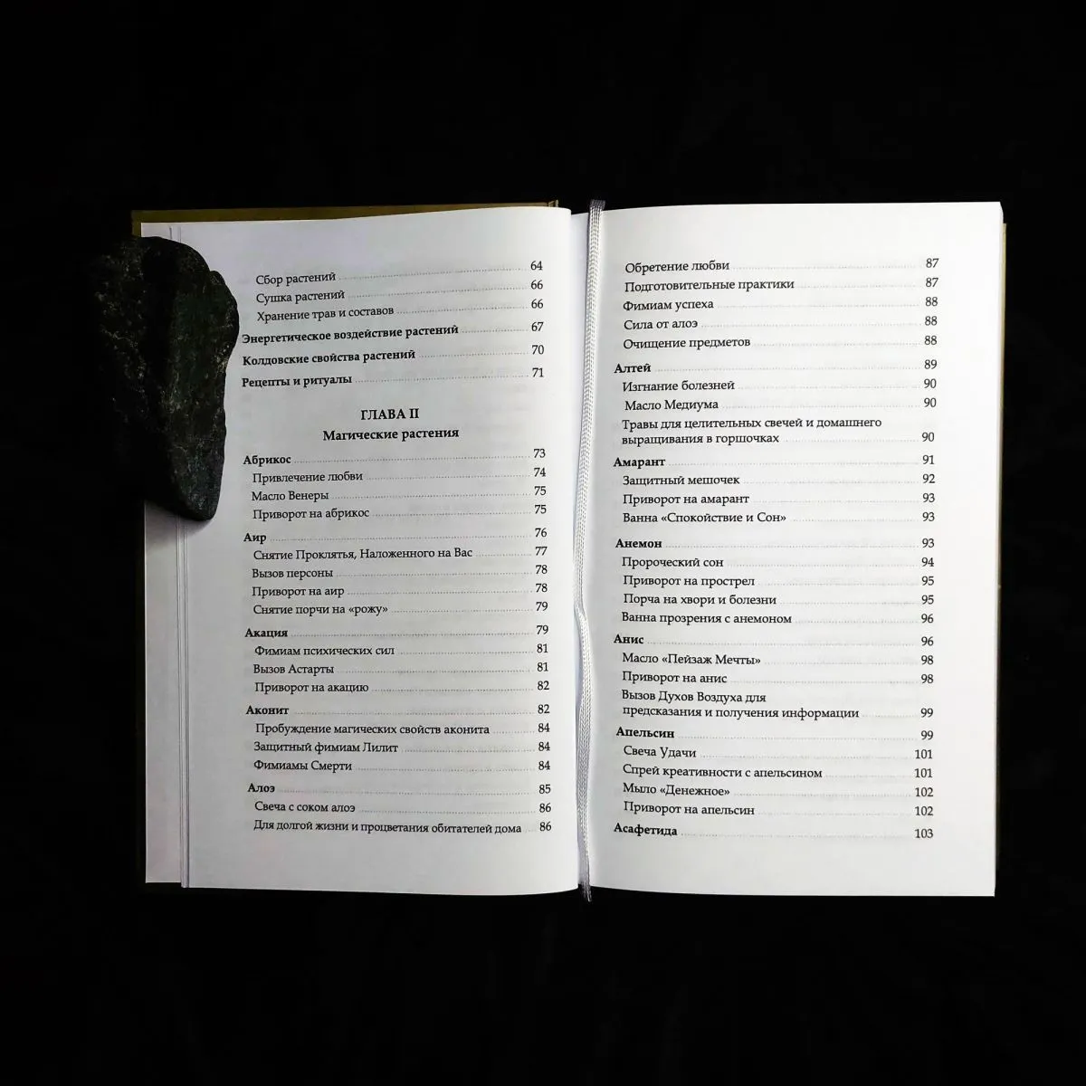 Ася Заботина "Арсенал ведьминых трав"