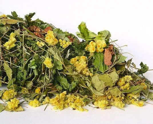 Чайный напиток "Хвойный"