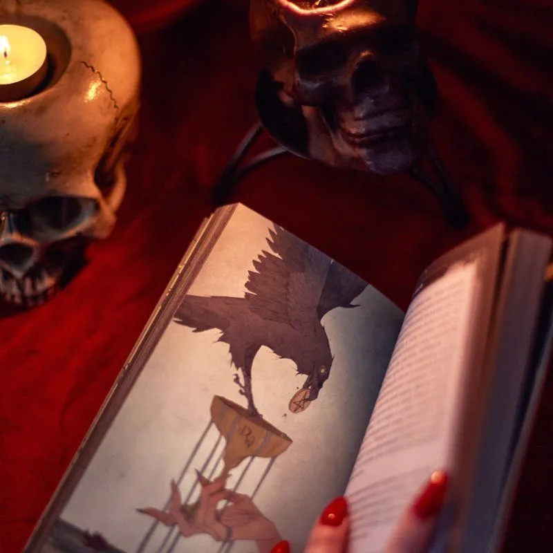 Таро Темного леса (Dark Wood Tarot)