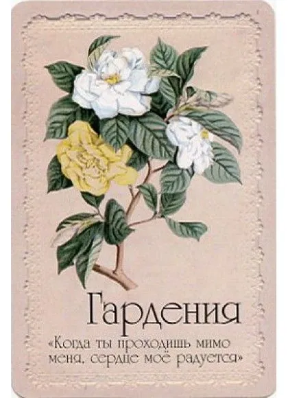 Оракул "Селам или Язык Цветов"