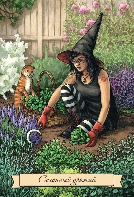 Набор "Повседневный оракул ведьмы" (40 карт и брошюра)