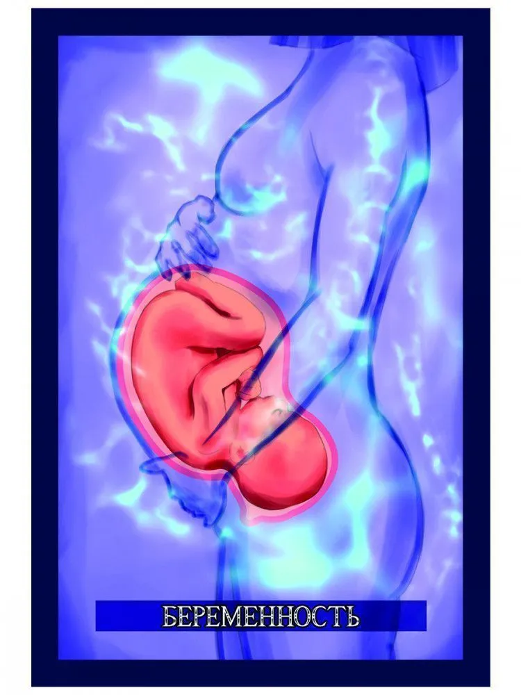 Карты целителя "Энергия Парацельса"