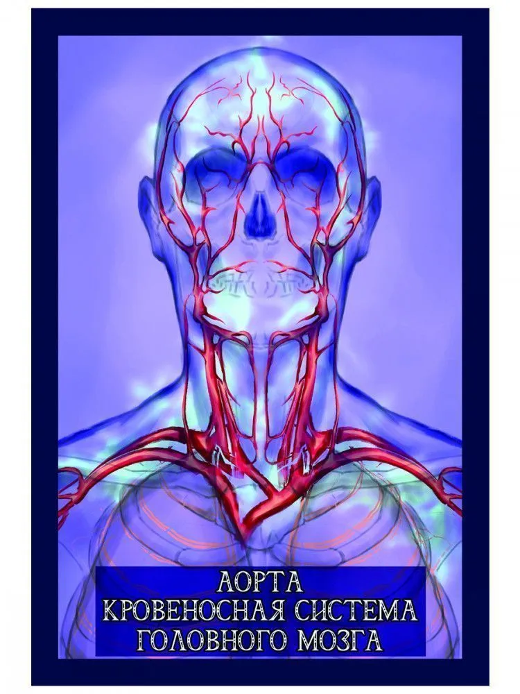Карты целителя "Энергия Парацельса"