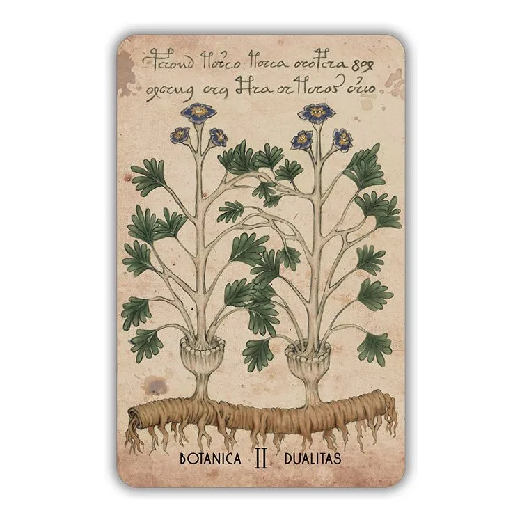 Оракул Войнича (Voinich Oracle), с инструкцией