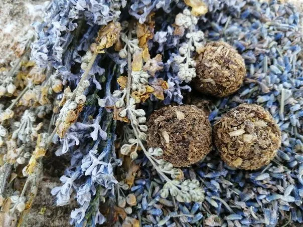 Живые благовония "Сад сновидений"