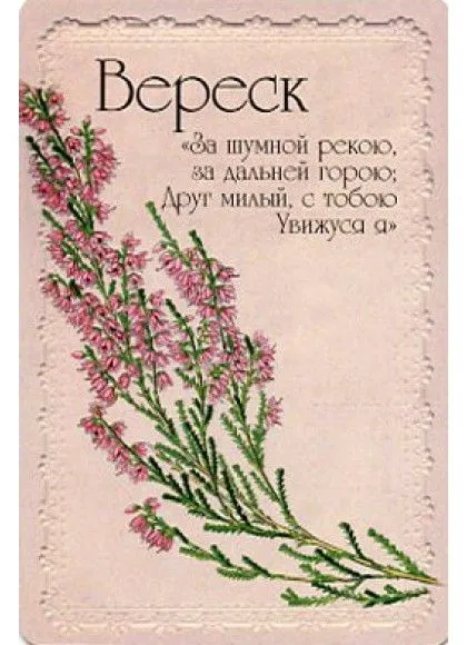 Оракул "Селам или Язык Цветов"