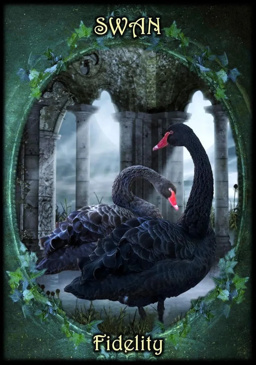 Оракул "Ведьмины Фамильяры" (Witches' Familiars Oracle Cards)