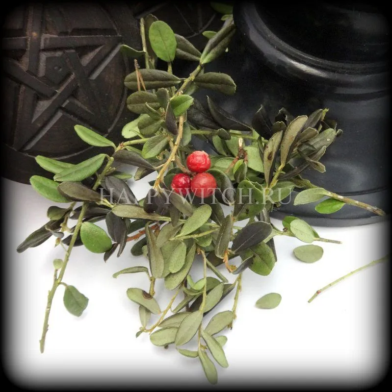 Брусника (лист, 20 гр)