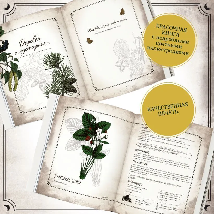 Тайны и магия растений, Мария Сумина