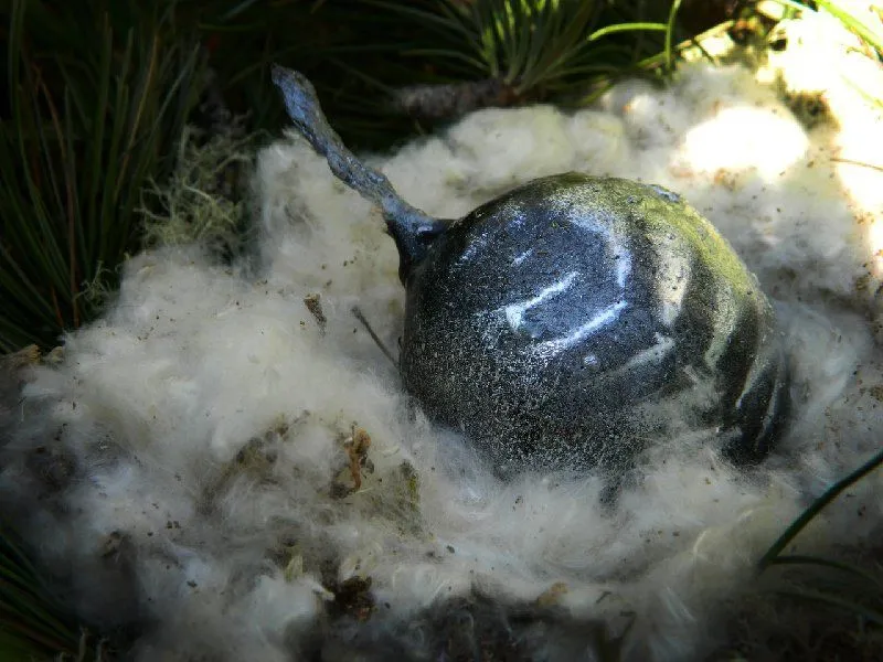 Cвеча "Яйцо гидры", травяная