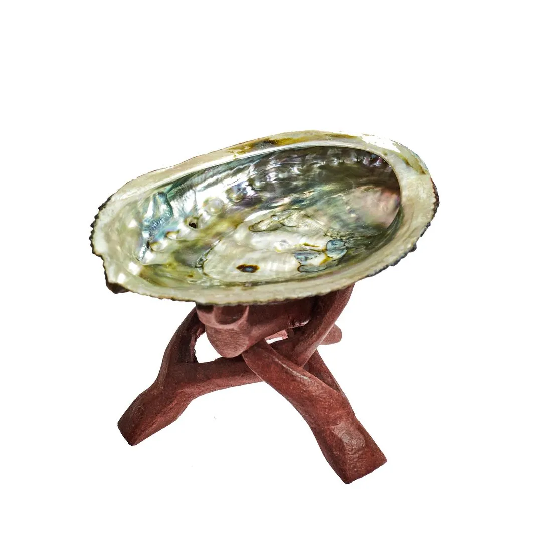 Раковина халиотиса «Сердце океана» с подставкой