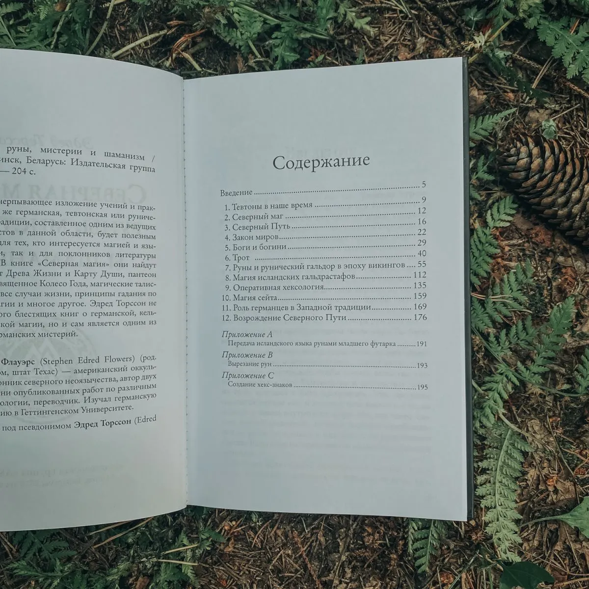 Эдред Торссон "Северная магия: руны, мистерии и шаманизм"