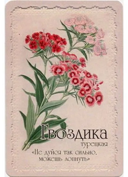 Оракул "Селам или Язык Цветов"