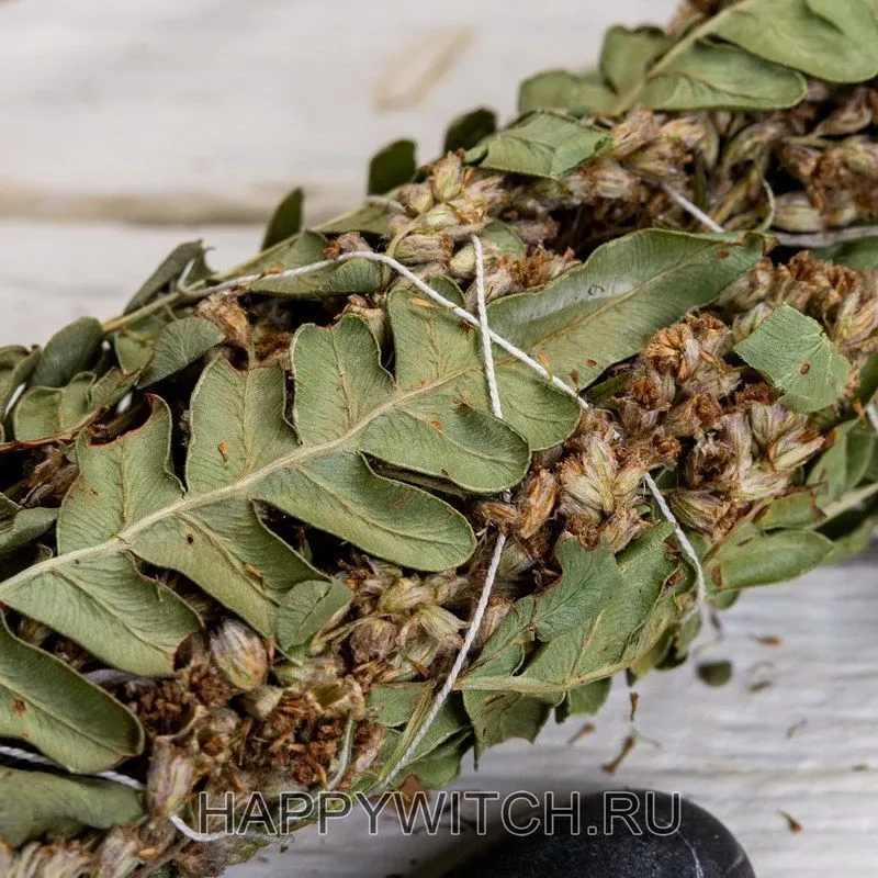 Пучки папоротника с полынью для окуривания