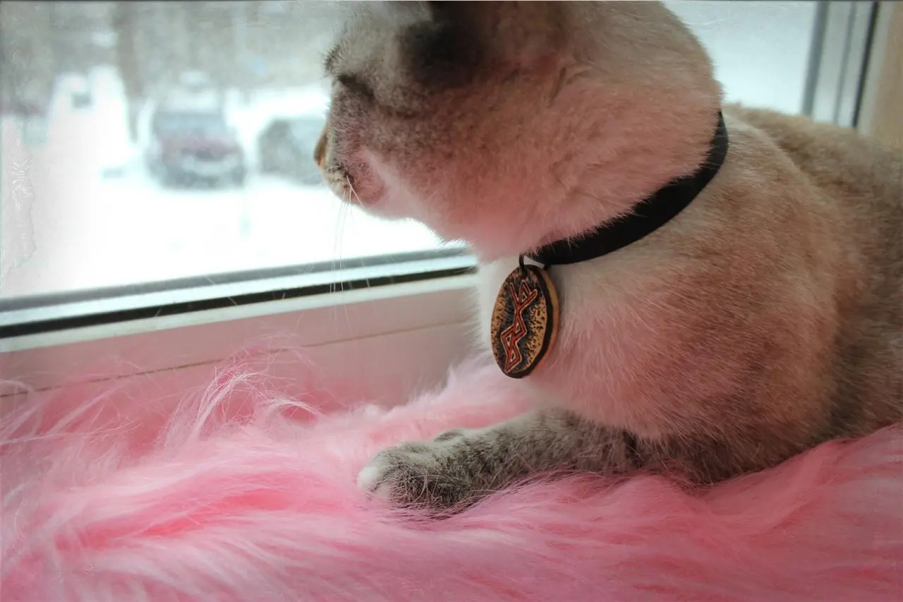 Свеча "На мягких лапах" с амулетом