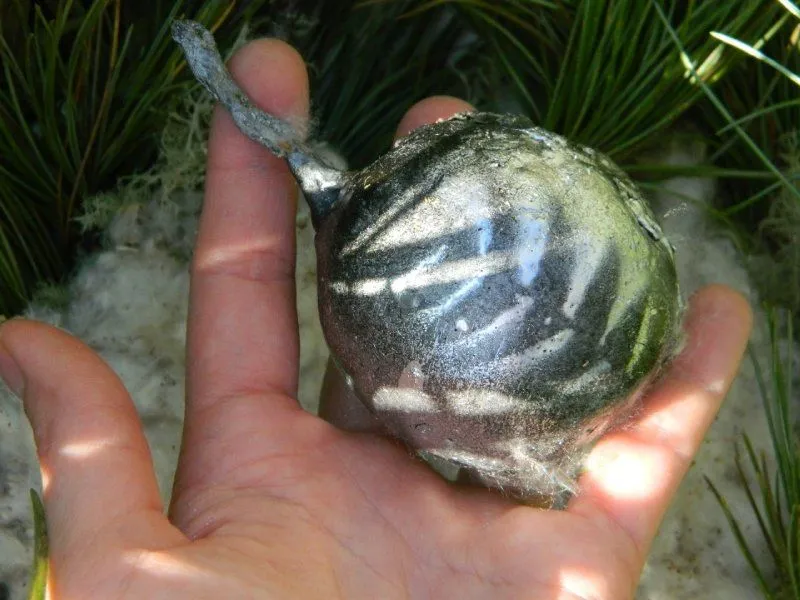 Cвеча "Яйцо гидры", травяная