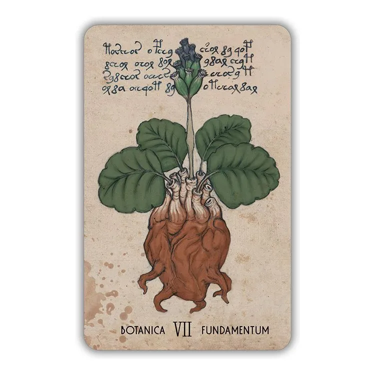 Оракул Войнича (Voinich Oracle), с инструкцией