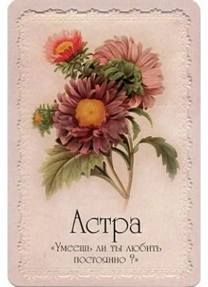 Оракул "Селам или Язык Цветов"