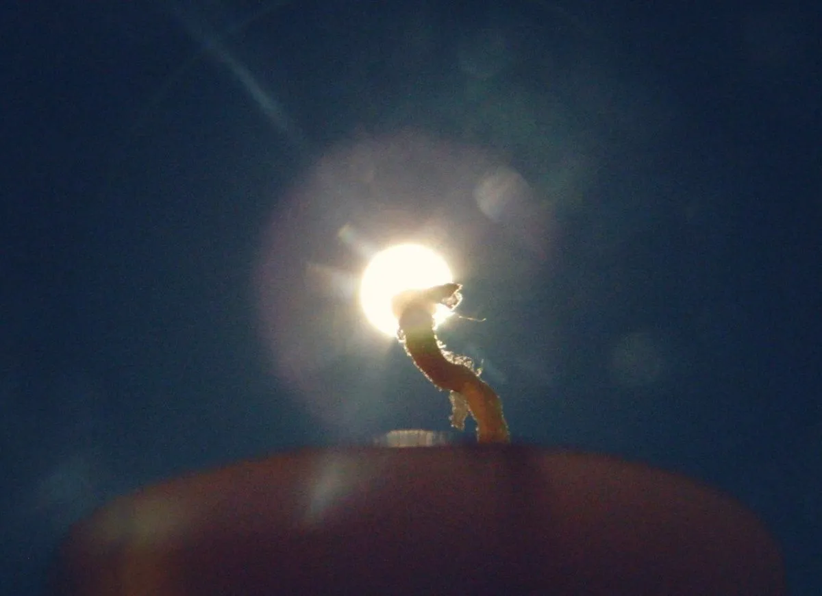 Свеча "Лунная энергия" на исполнение желания