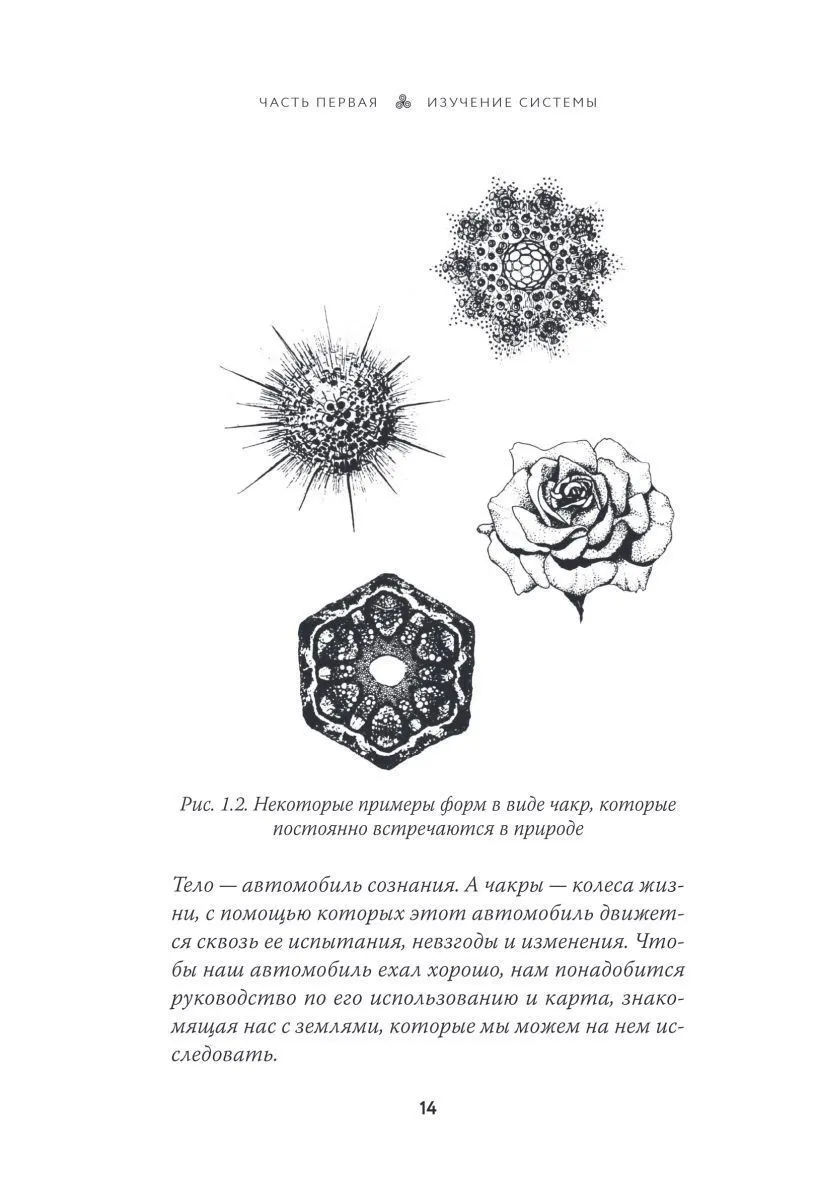 Анодея Джудит "Чакры. Полная энциклопедия"