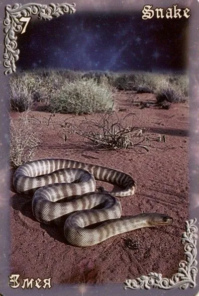 Мистический Оракул "Дыхание Ночи" (Mystical Oracle Breath of The Night)