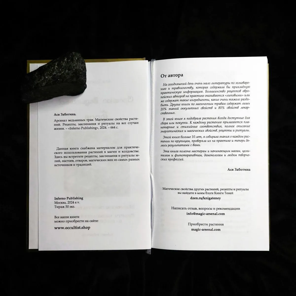 Ася Заботина "Арсенал ведьминых трав"