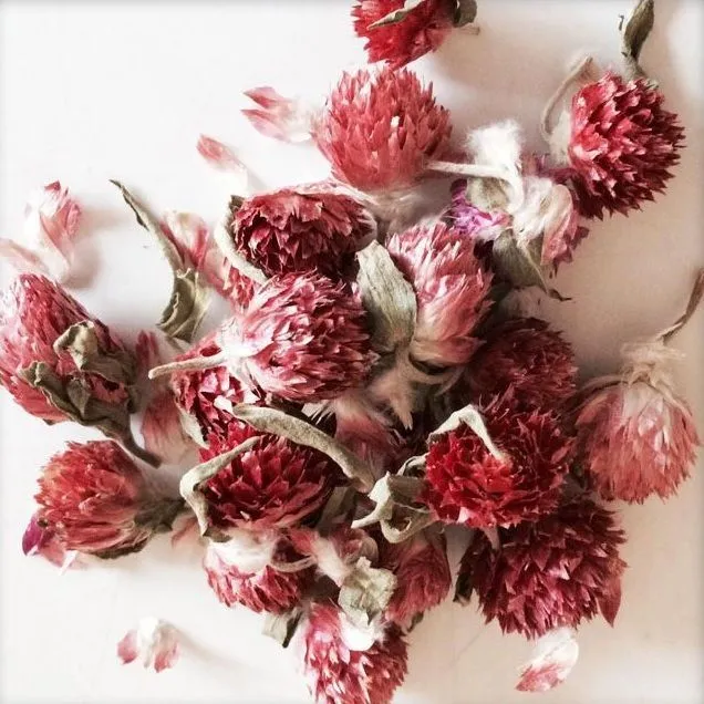 Клевер розовый (цвет, 25 гр)