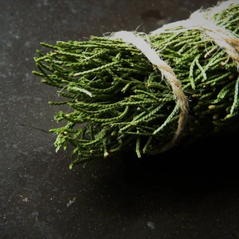 Скрутка для окуривания "Можжевельник древовидный"