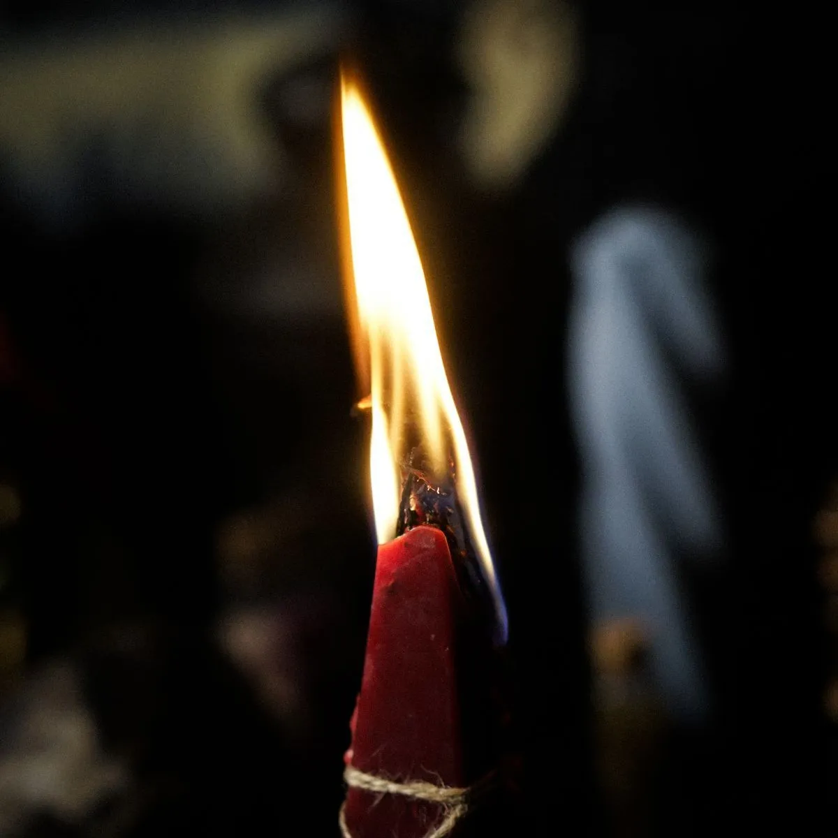 Свеча "Королевская кобра"