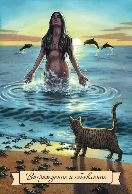 Набор "Повседневный оракул ведьмы" (40 карт и брошюра)