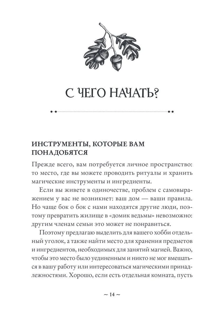 Ольга Корбут "Колесо Года. Календарь магических дел и праздников для современной ведьмы"