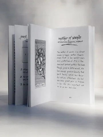 The Wild Unknown Tarot Guidebook (руководство по колоде)