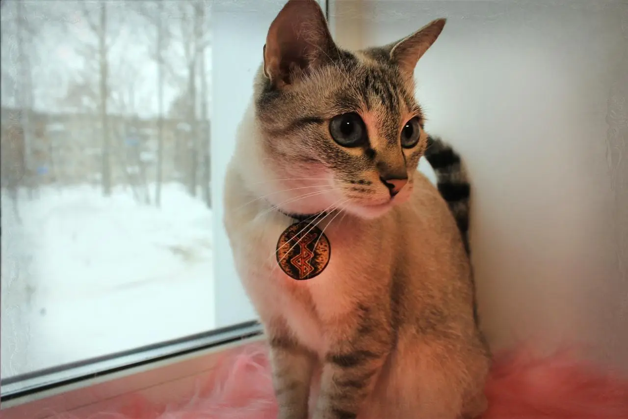 Свеча "На мягких лапах" с амулетом