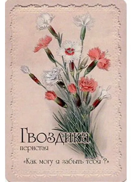 Оракул "Селам или Язык Цветов"