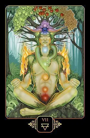 Мечты Гайи Таро (Dreams of Gaia Tarot)