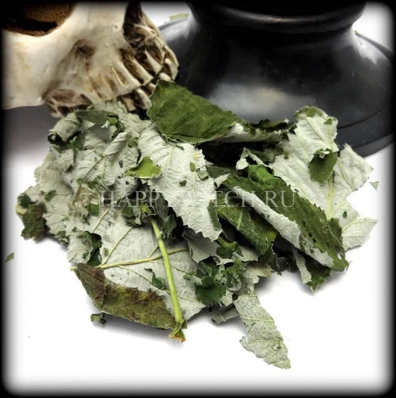 Малина лесная (пакет 10 гр.)