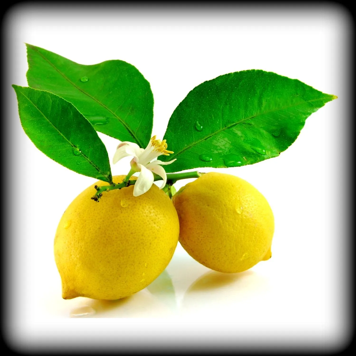 Эфирное масло "Лимон" 10 мл.