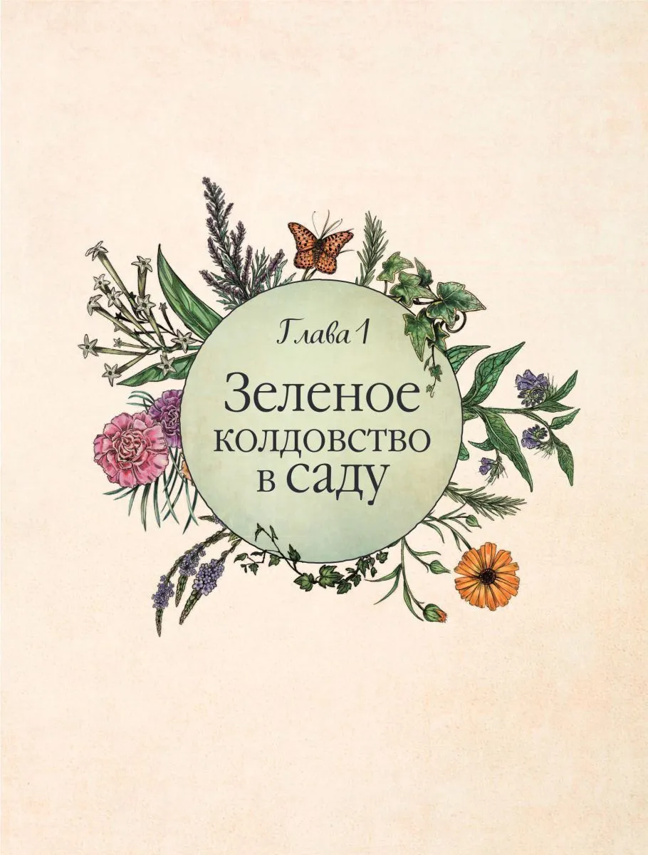 Эрин Мёрфи-Хискок "Сад Зеленой ведьмы"