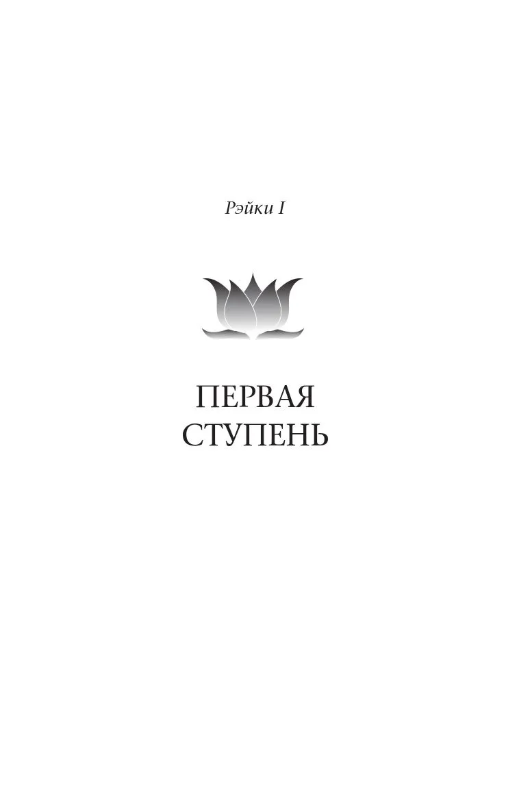 Стайн Дайяна "Основы Рэйки. Полное руководство по древнему искусству исцеления"
