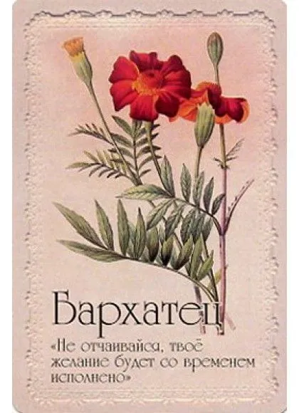 Оракул "Селам или Язык Цветов"