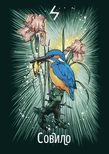 Рунический оракул "Фамильяры ведьмы" (24 карты и руководство)