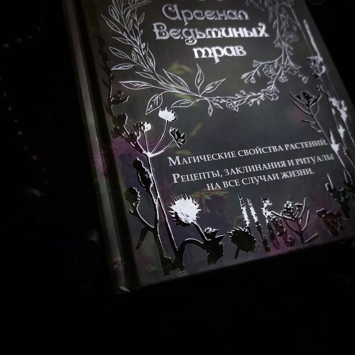 Ася Заботина "Арсенал ведьминых трав"